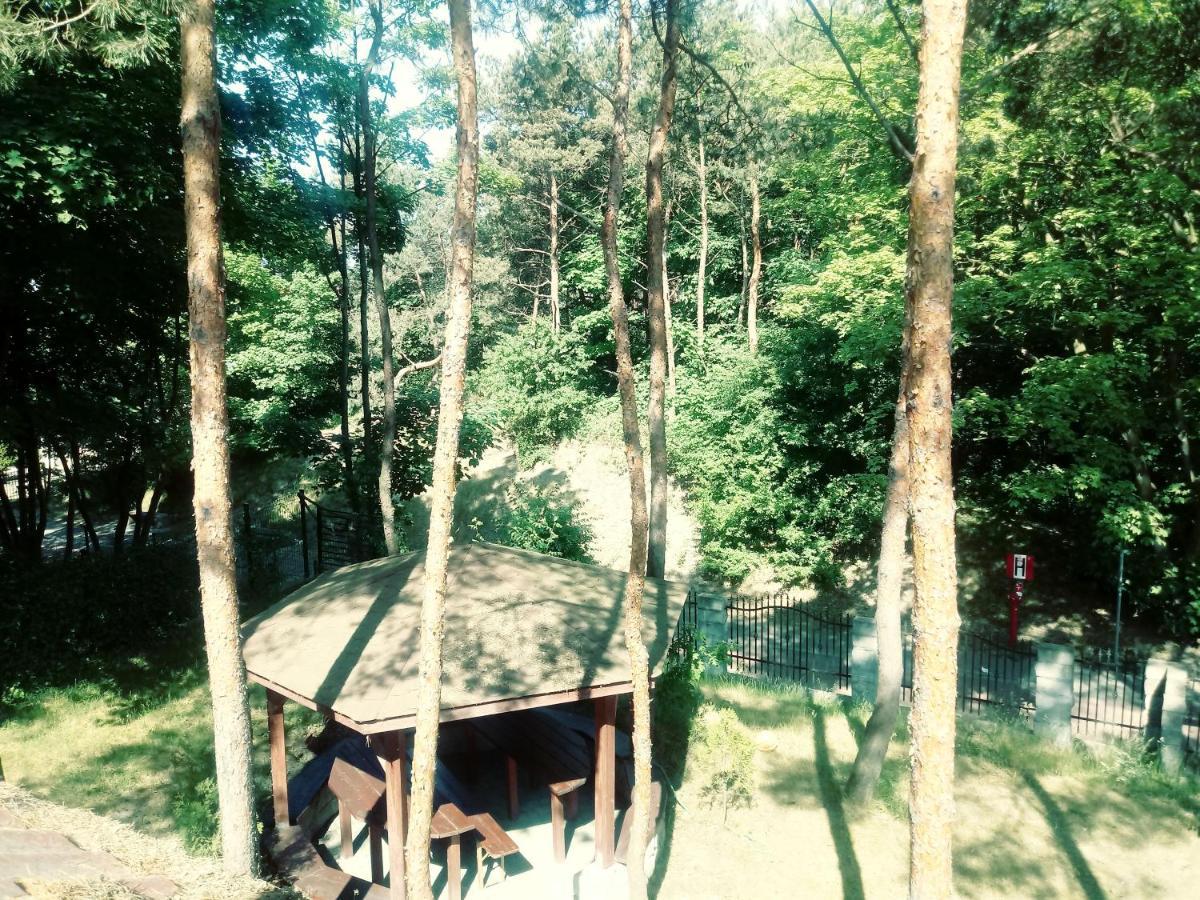 Dom Na Wzgorzu Appartement Jastarnia Buitenkant foto